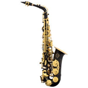 School Eb Alto Sax, Black