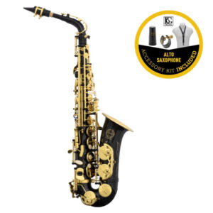 School Eb Alto Sax Black + BG accessories kit