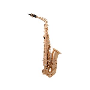Eb Alto Sax, Champagne Gold finish