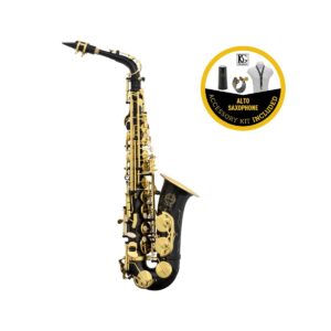 School Eb Alto Sax Black + BG accessories kit