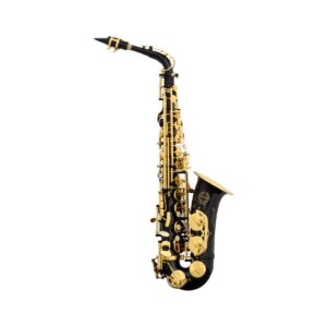 School Eb Alto Sax, Black
