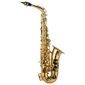 Sassofono Contralto School