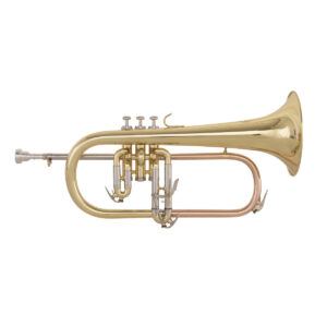 Flicorno Soprano school