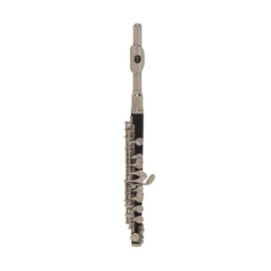 Flauto Piccolo con Custodia