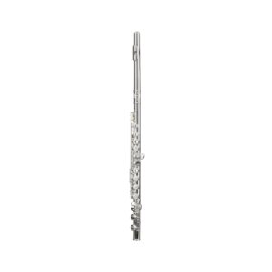OPEN HOLES FLUTE